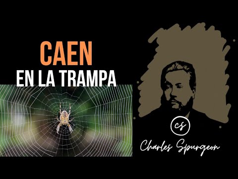 Caen en la trampa (Isaías 59:5) Devocional de hoy Charles Spurgeon