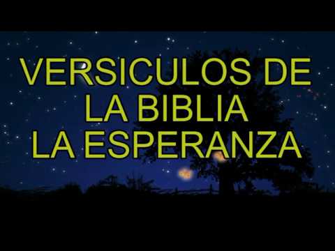 Versículos de la Biblia - la esperanza. ARMANDO GAMEZ