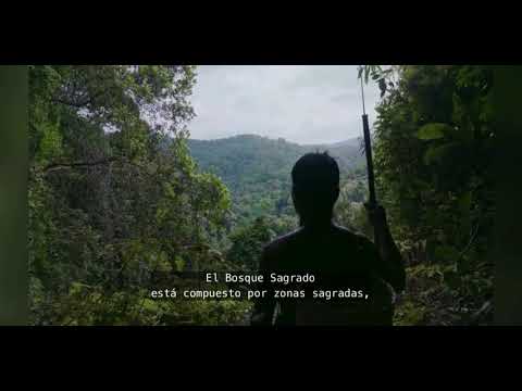 LAS ISLAS DE LA FE | Documental | Cautivador | Estreno Netflix